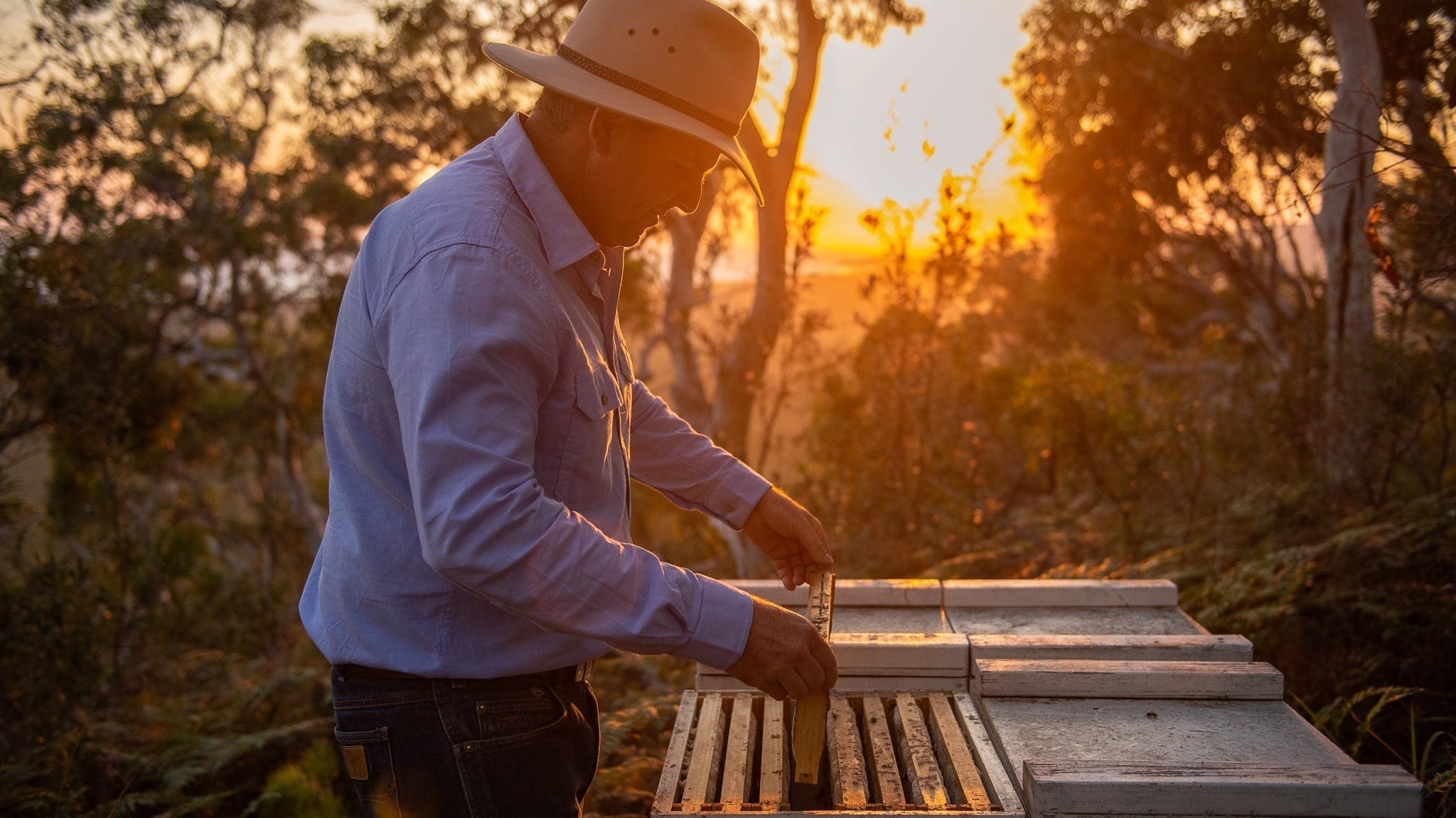 FAQ om Manuka honning