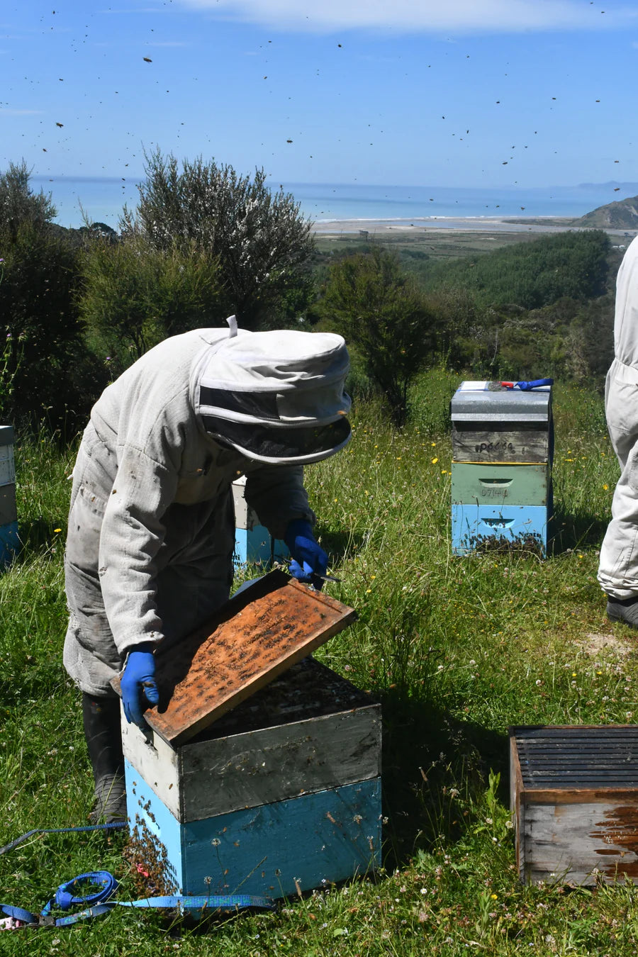 Biholdere checker deres bistader