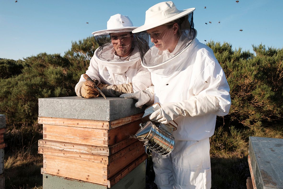 Billede af en mand og dame i hvide dragter, foran en bistade, fra Olaya i Spanien.