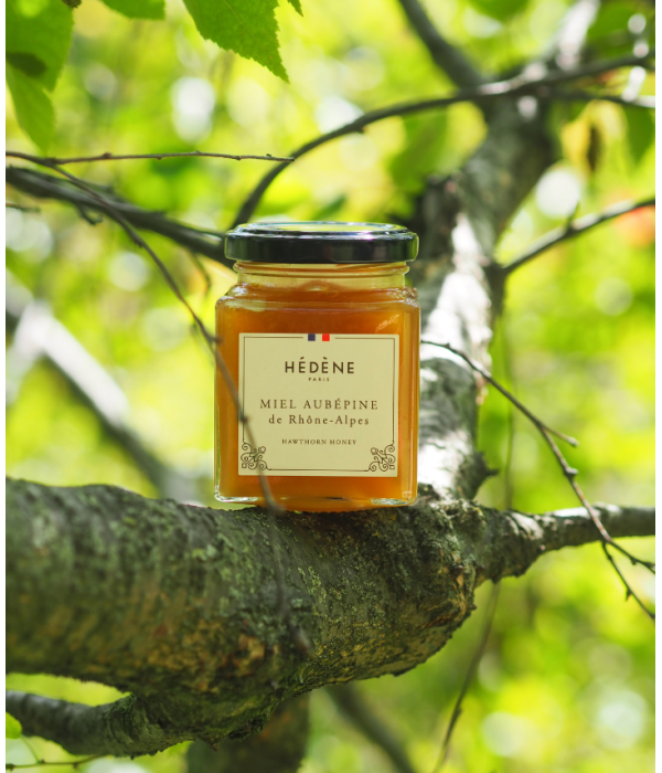 Glas med Hédéne  Havtorn honning,  Bourdaine de Gironde,  mellem grene,  Frankrig