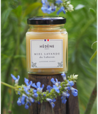 Glas med Hédéne lavendel honning, mellem lavendel busk,  Frankrig