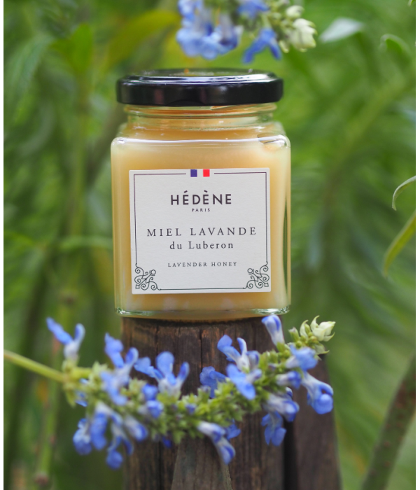 Glas med Hédéne lavendel honning, mellem lavendel busk,  Frankrig